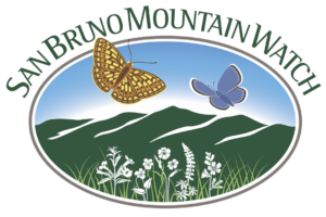 San Bruno Mountain Watch volunteer opportunities