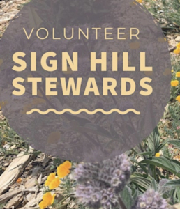 Sign Hill Habitat Restoration volunteer opportunities